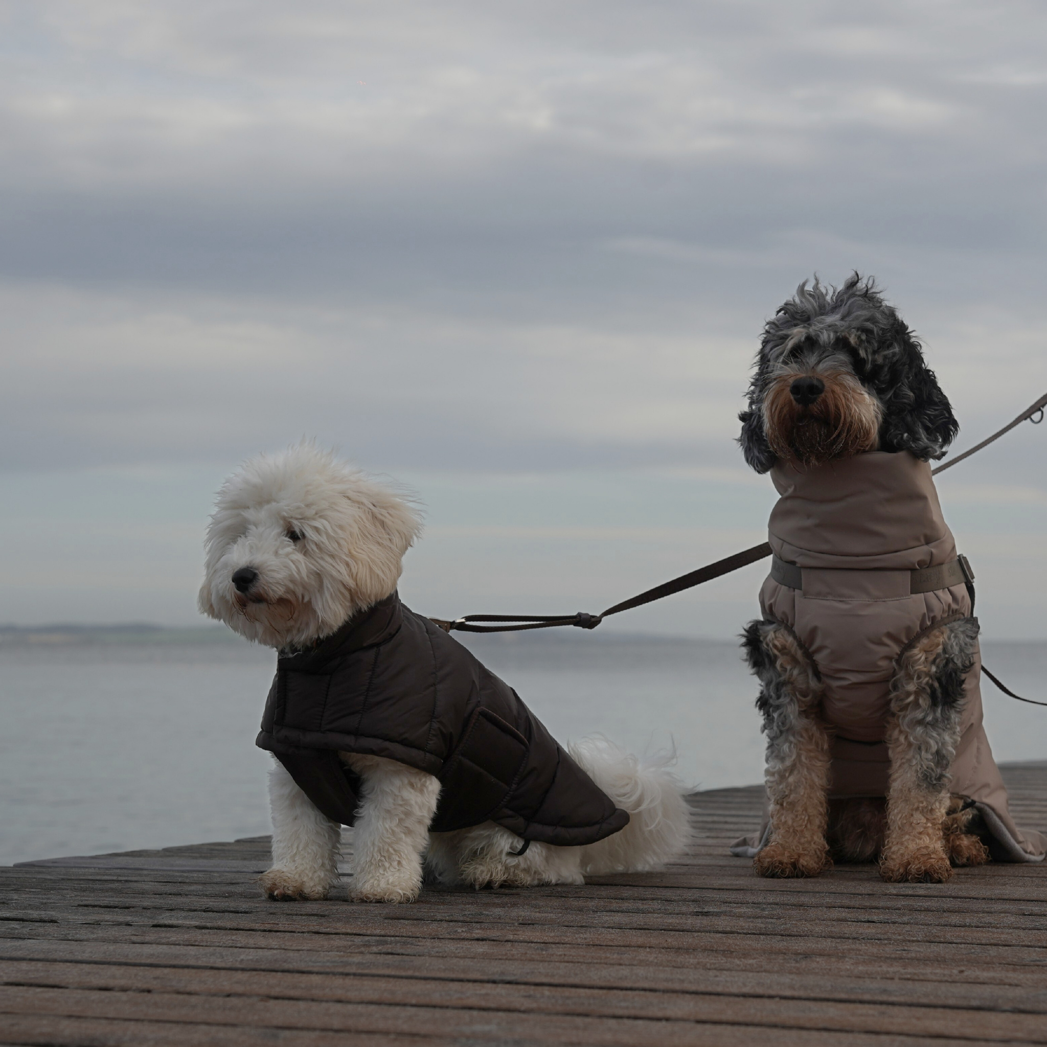 Nora Dog Coat | Espresso