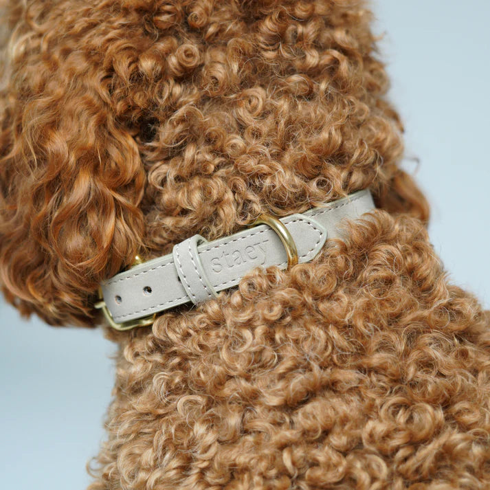 Grace Leather Dog Collar | Nature