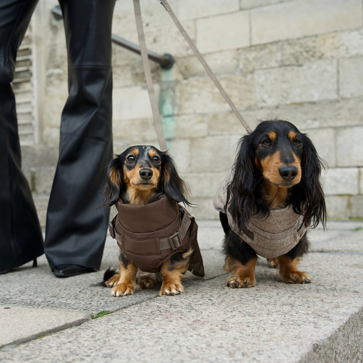 Vera Dog Coat w. Harness | Herringbone Mocca