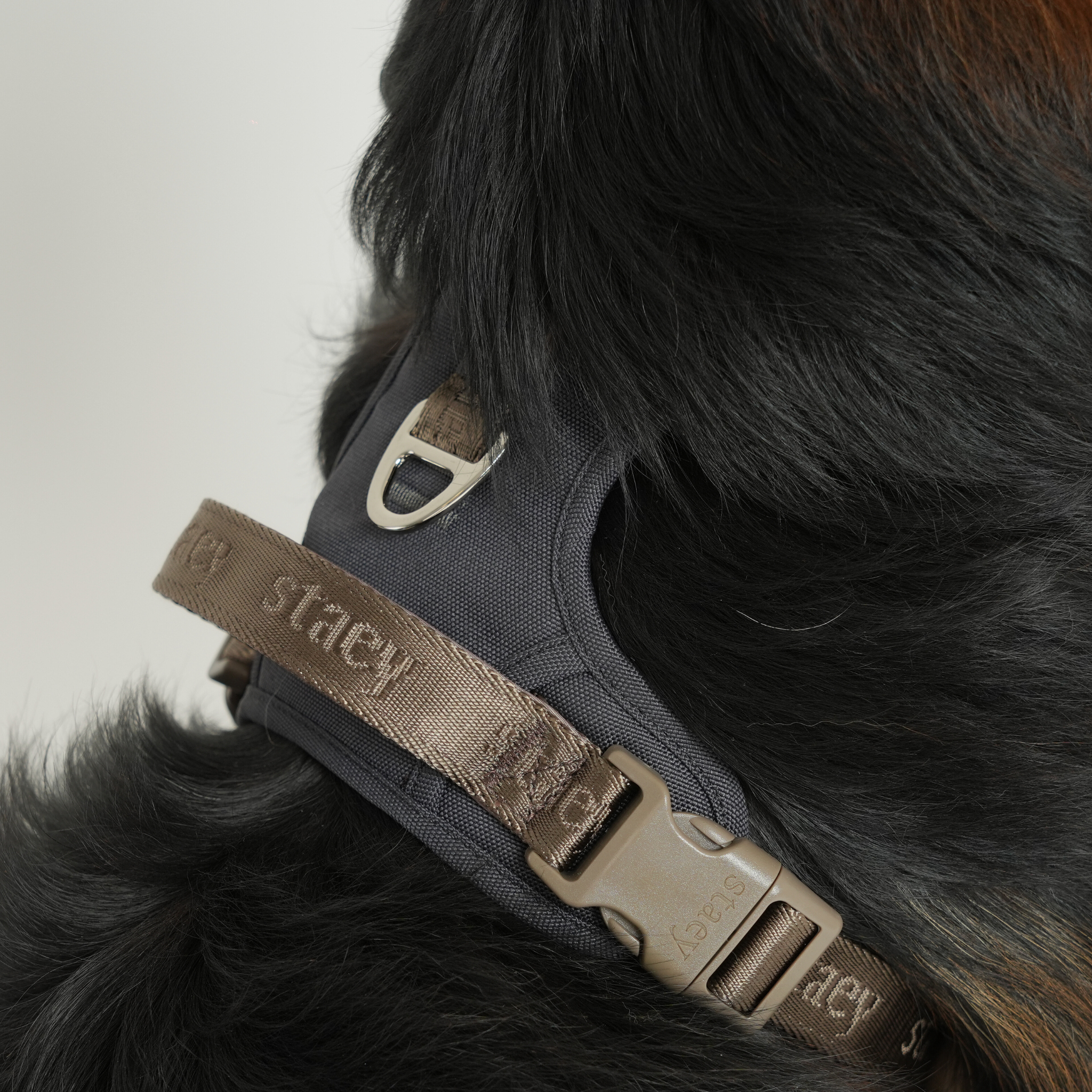 Arnés para perros activo Elma | tormenta