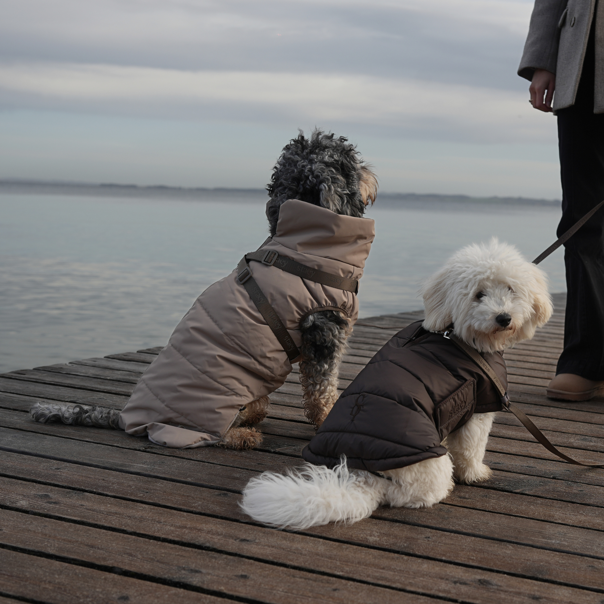 Nora Dog Coat | Espresso