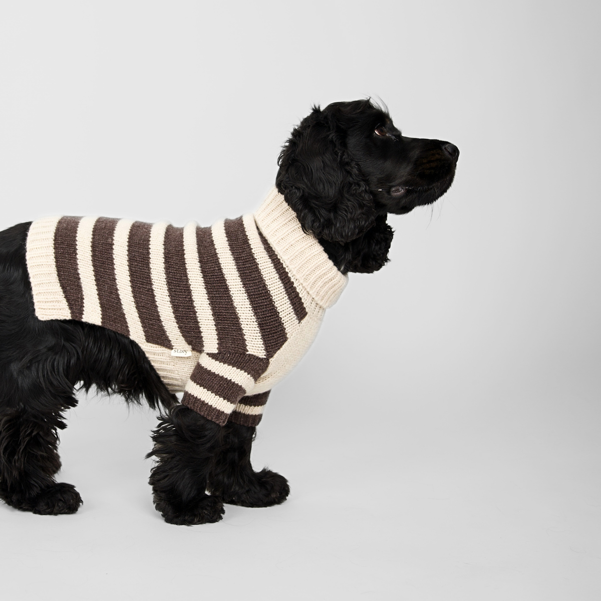 Liva Dog Sweater | Oat/Espresso