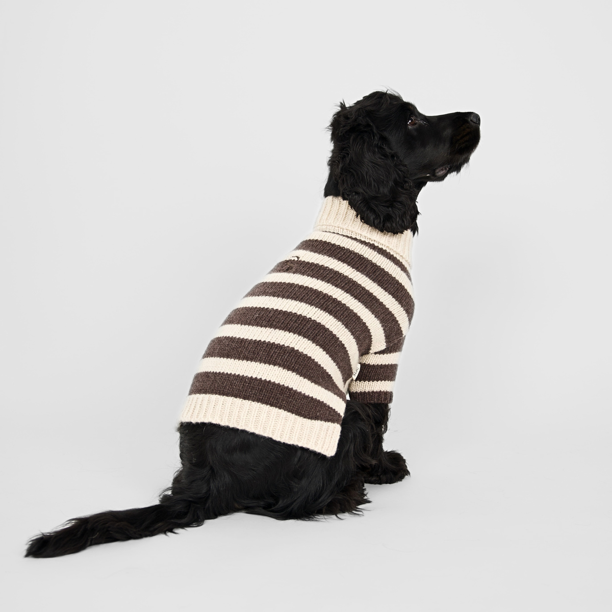 Liva Dog Sweater | Oat/Espresso