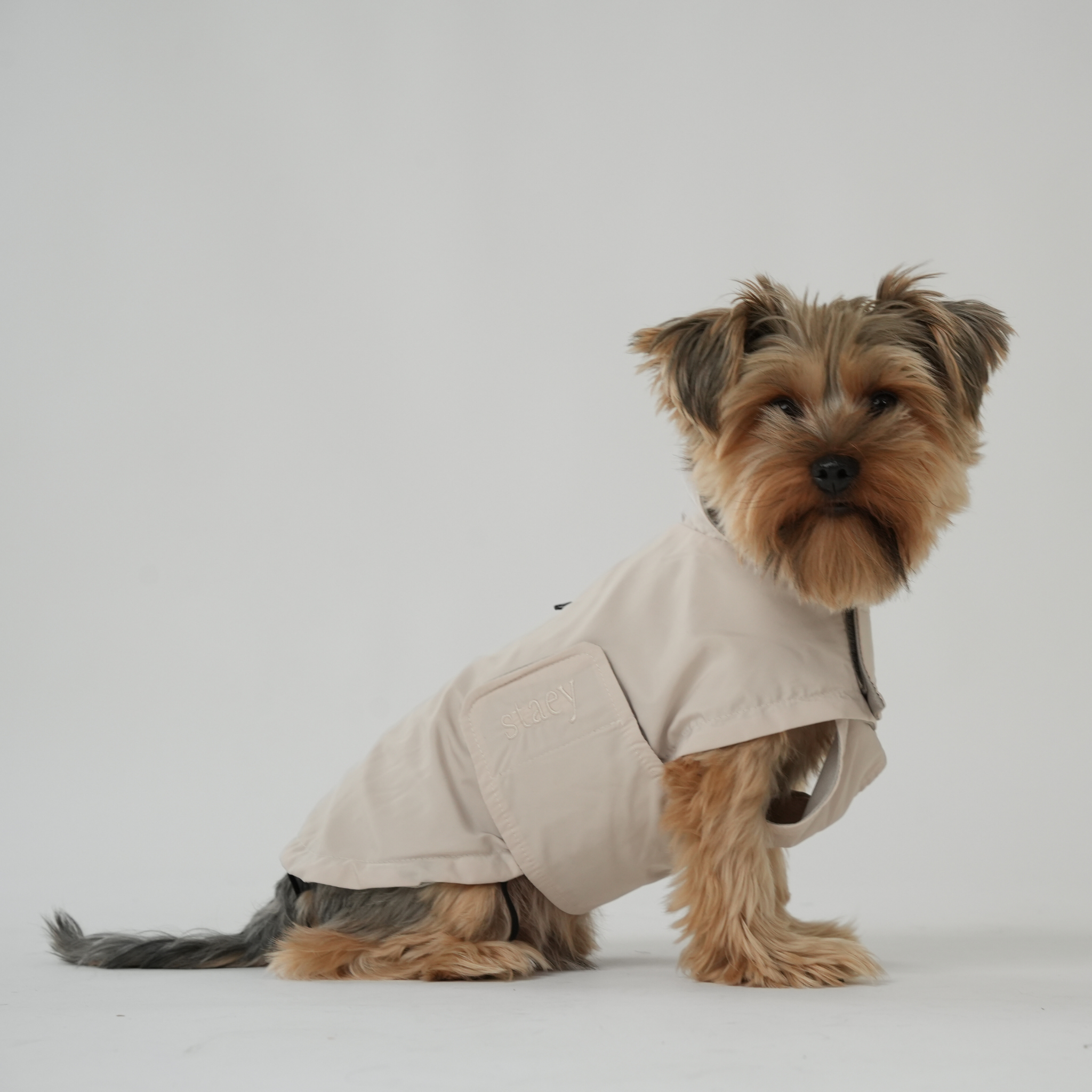 Impermeable para perros Vega | naturaleza