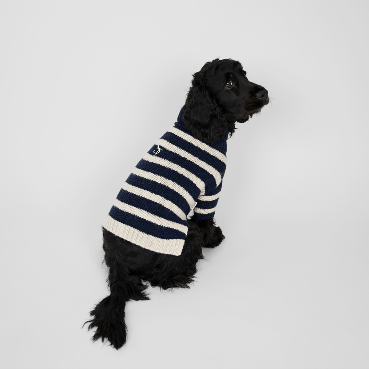 Liva Dog Sweater | Midnight/Oat