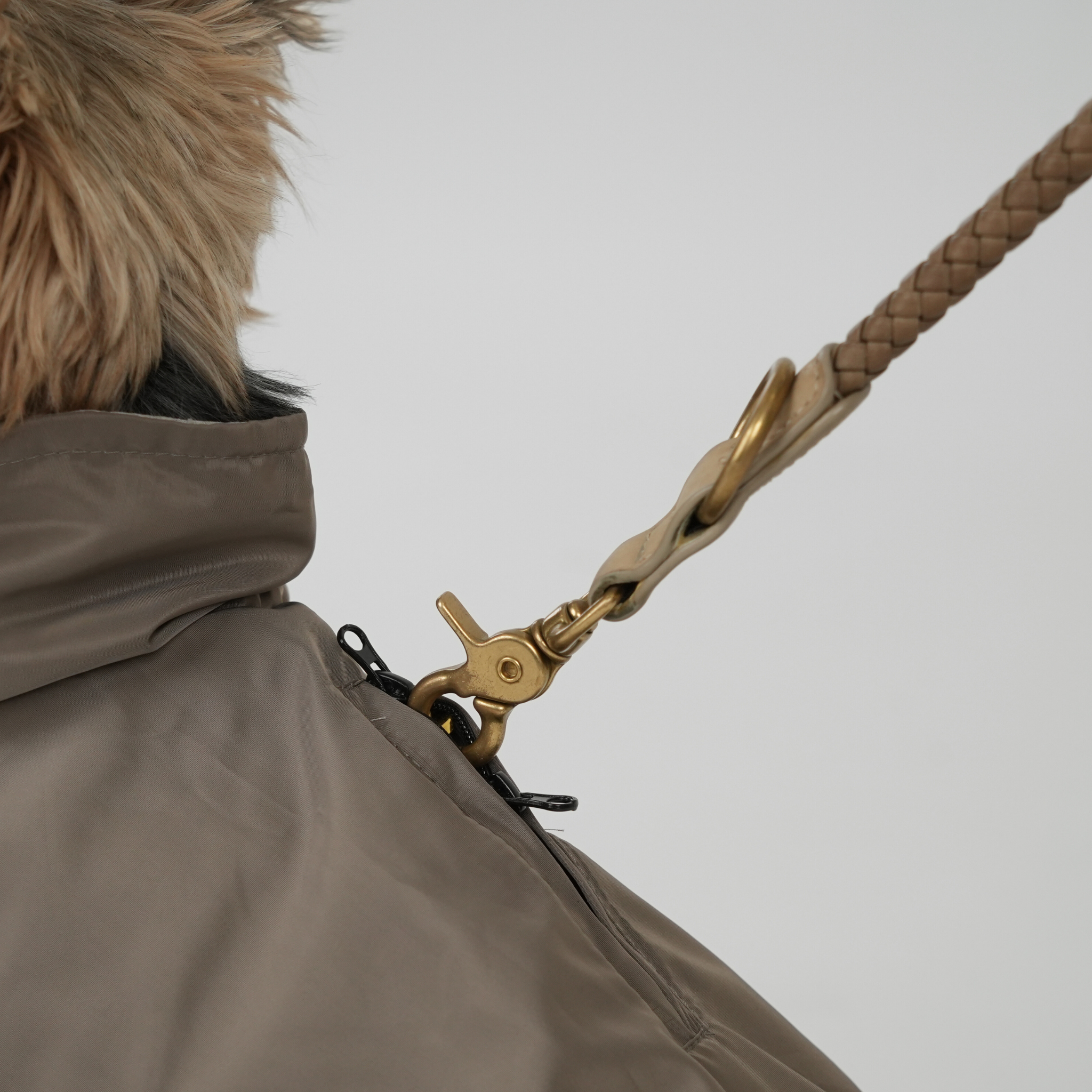 Vega Dog Raincoat | Taupe