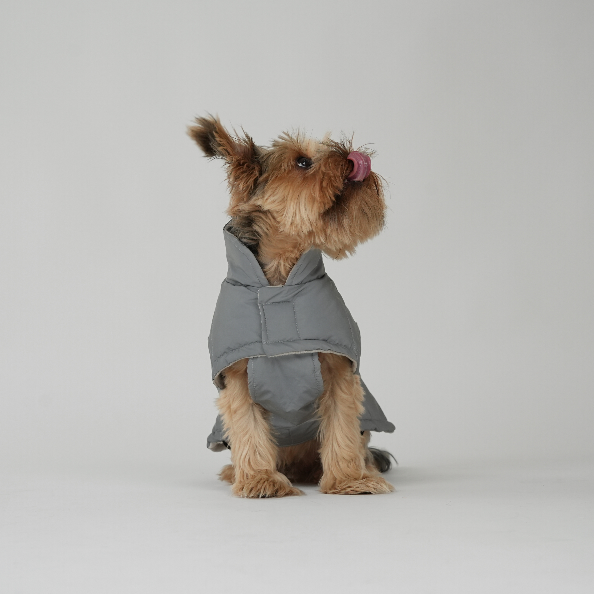 Nora Dog Coat | Reflective