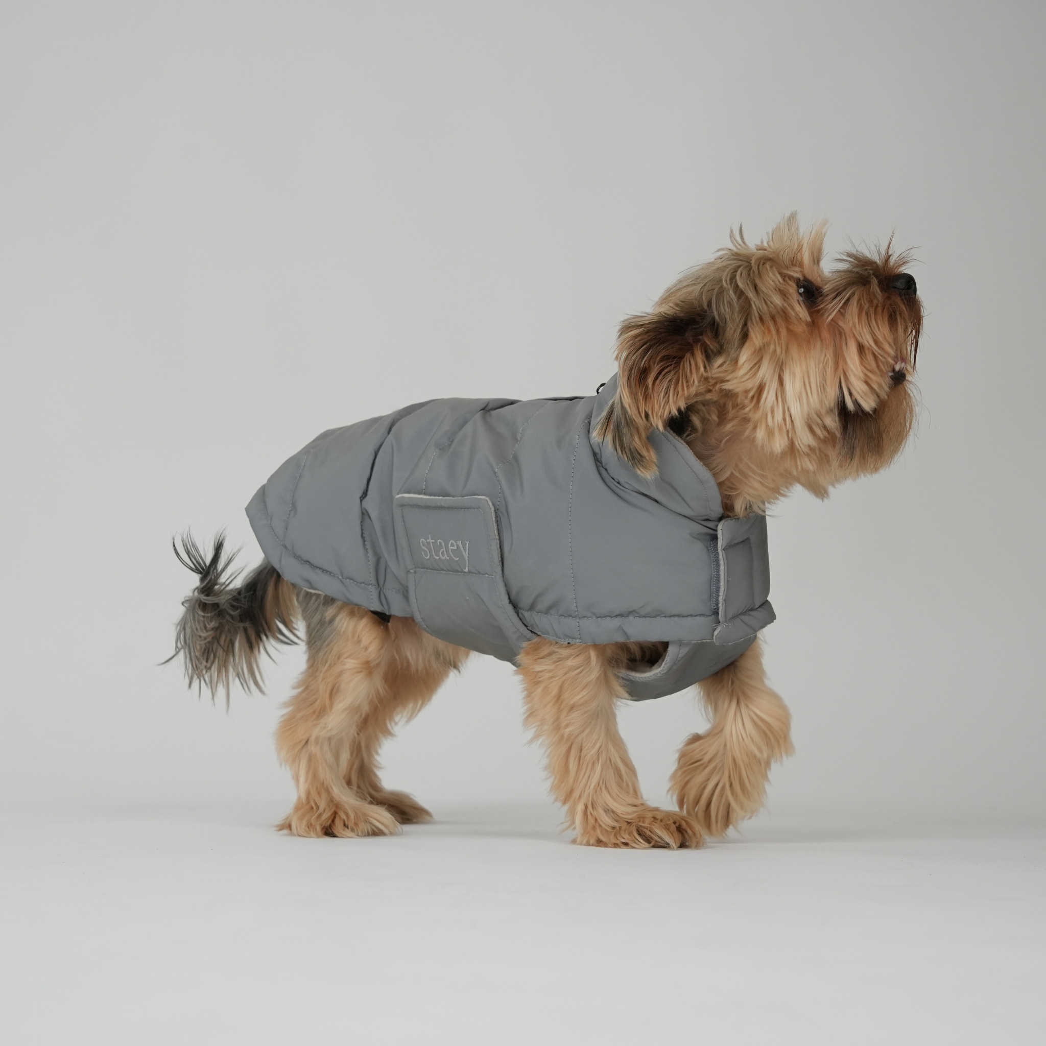 Nora Dog Coat | Reflective