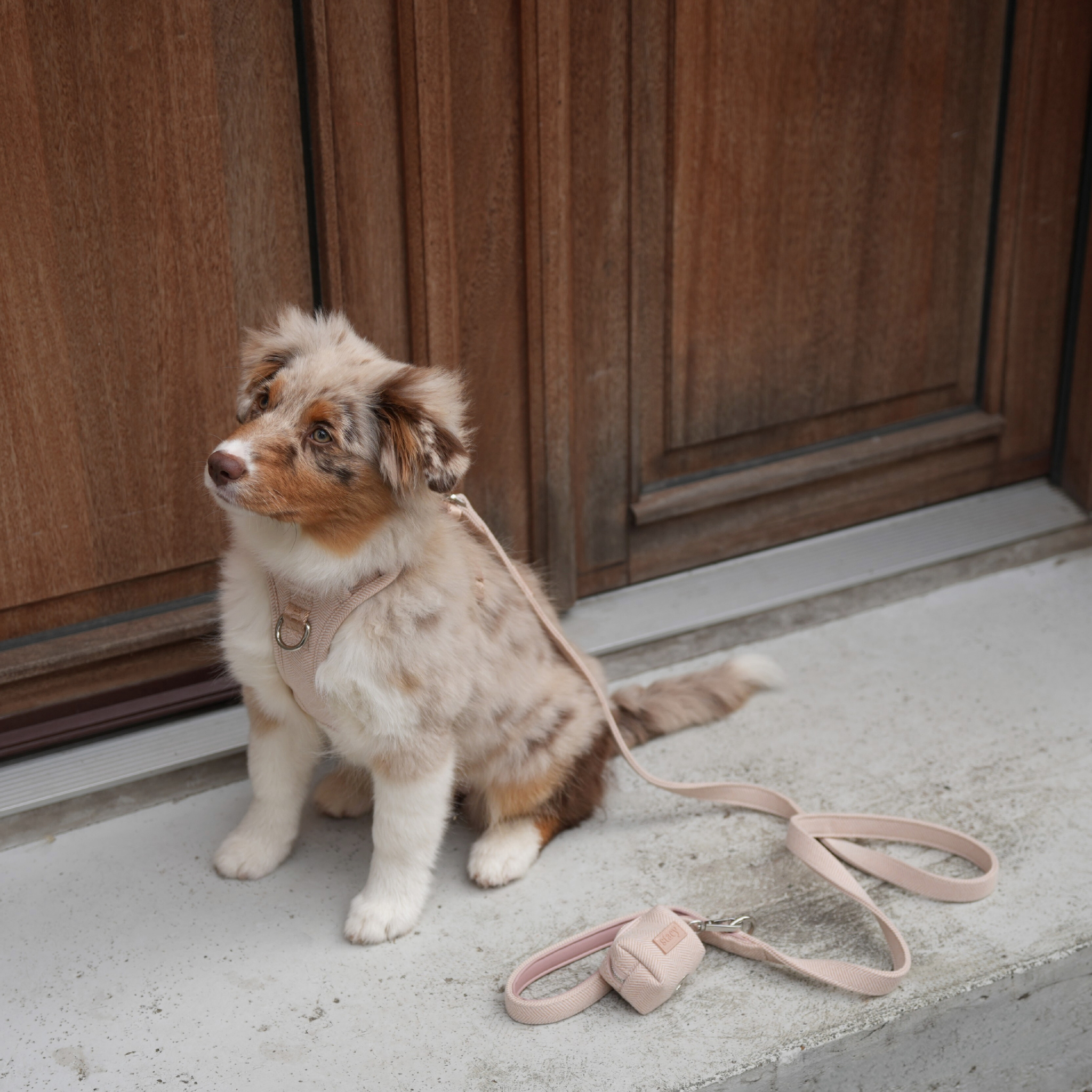 Soporte para bolsa de caca Elma | Rosa clara