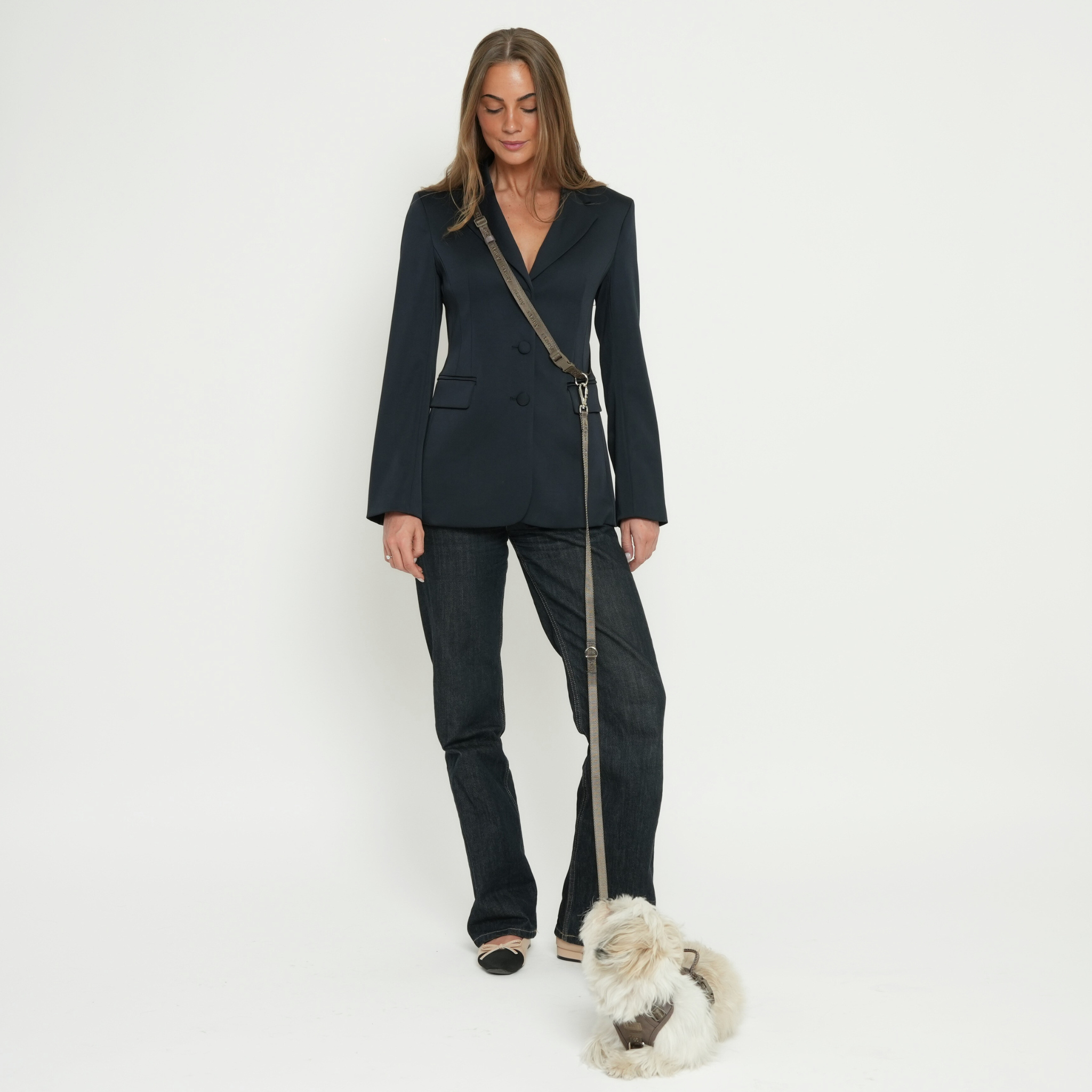 Correa para perro manos libres - Gris pardo