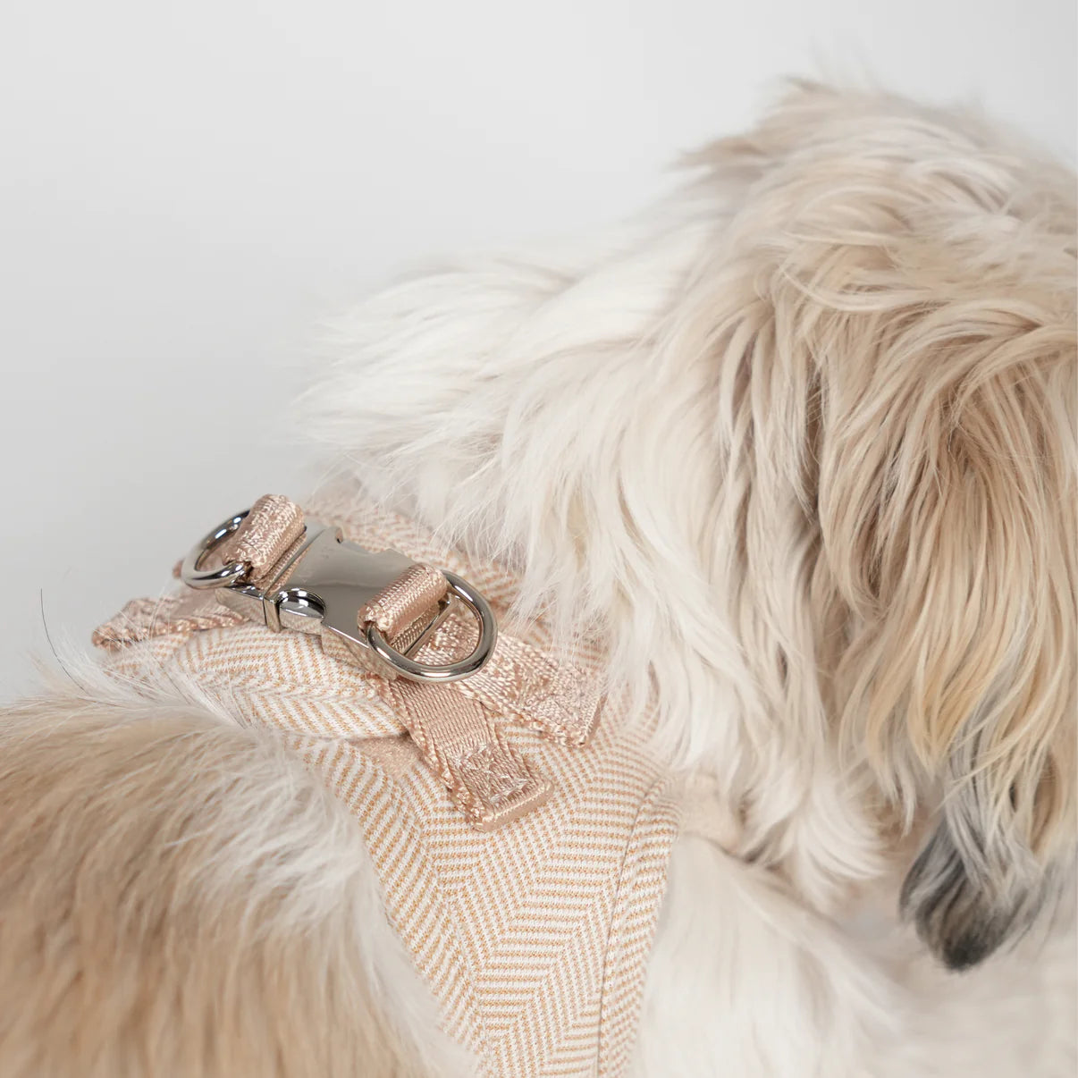 Saga Step-In Dog Harness | Light Rose