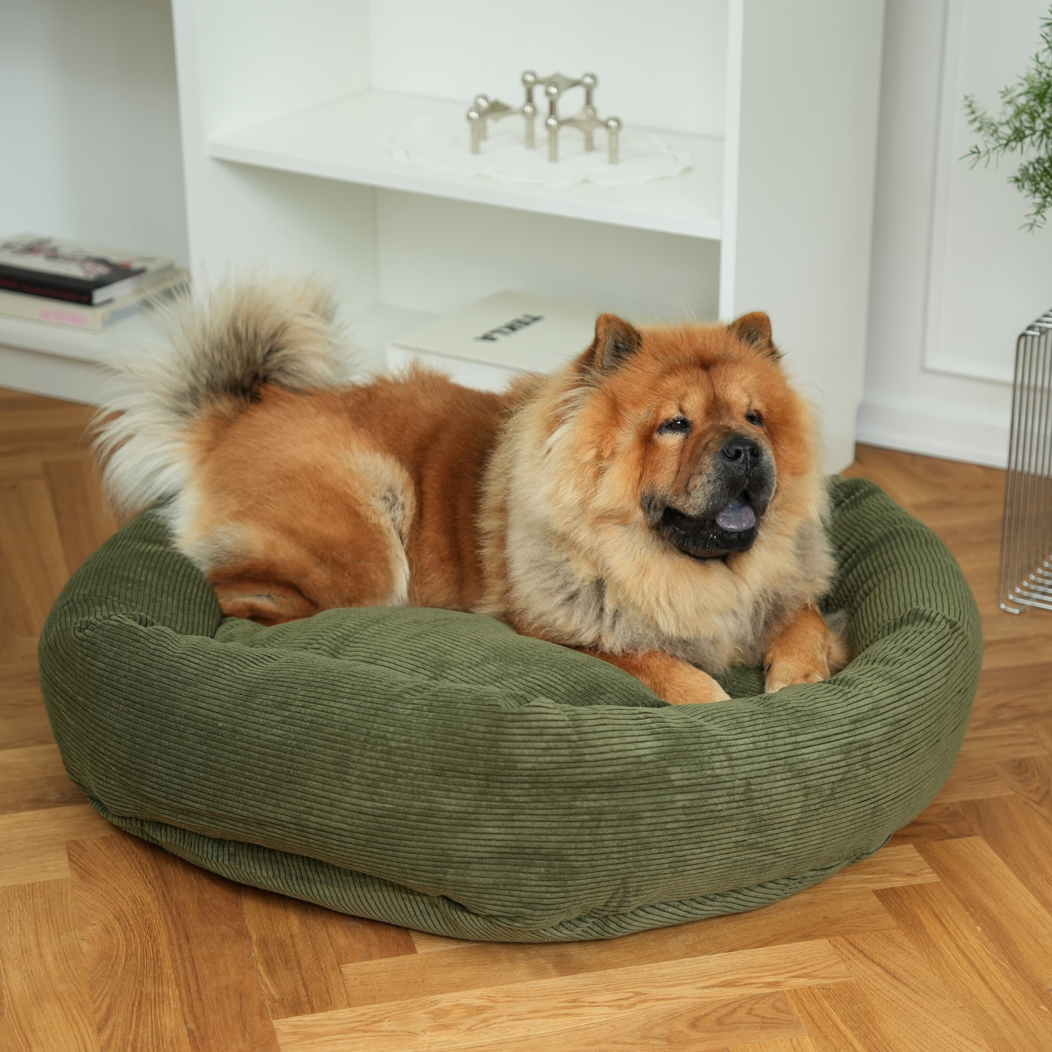 Cama para perros Luna 3.0 | Pana Verde Musgo