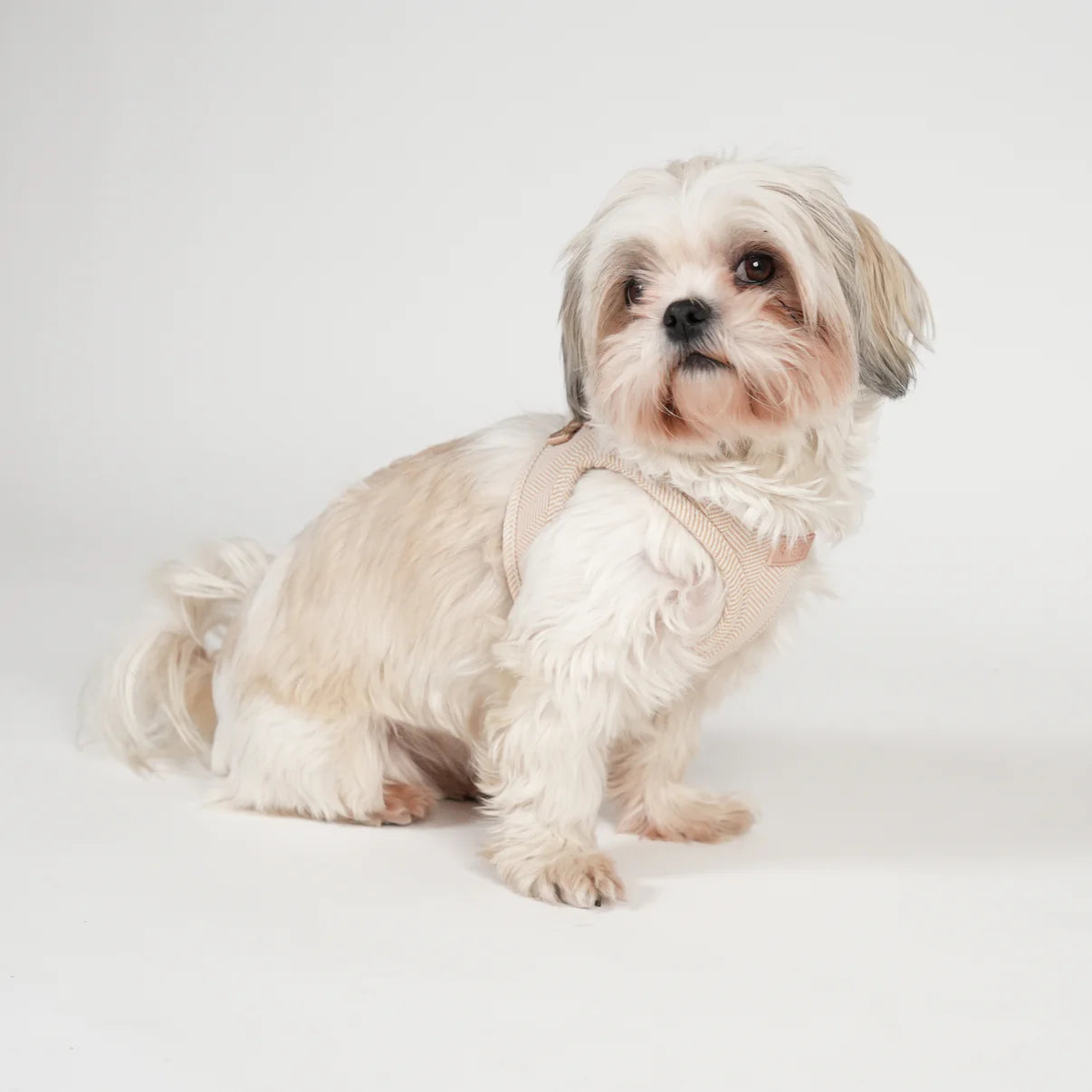 Arnés para perros Saga Step-In | Rosa clara