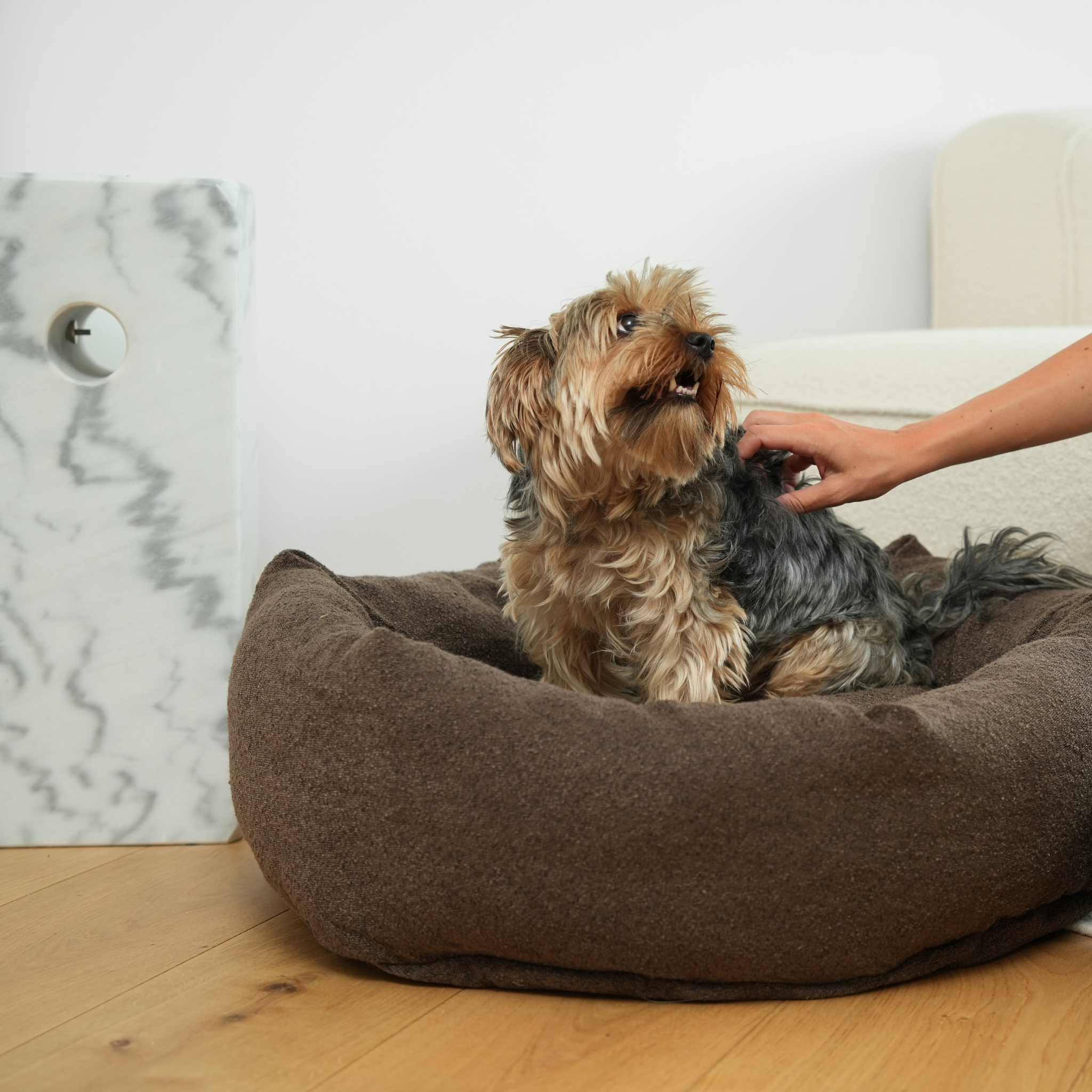 Cama para perros Luna 3.0 | Bouclé de castaño