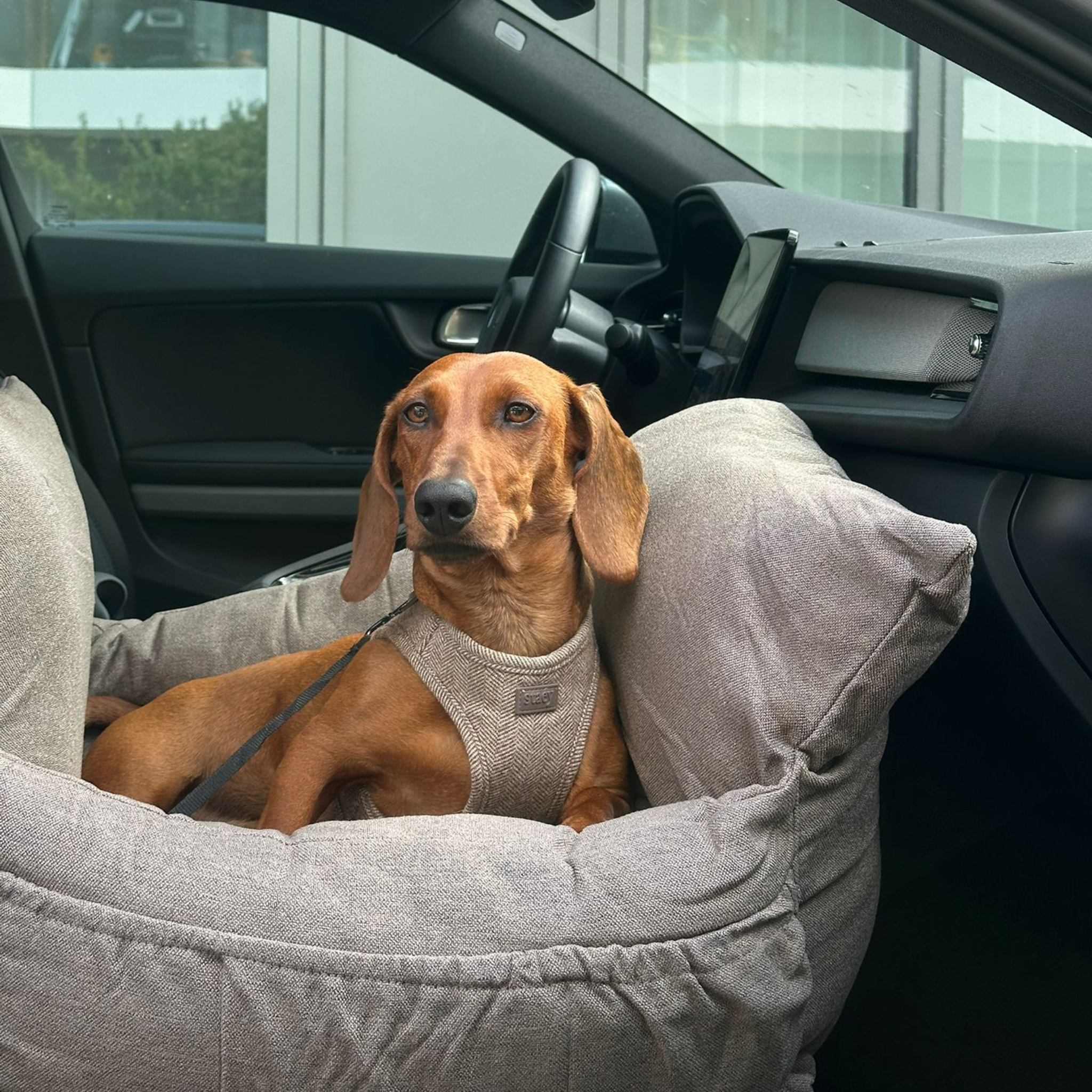 Silla de coche Lara | Taupe 2.0