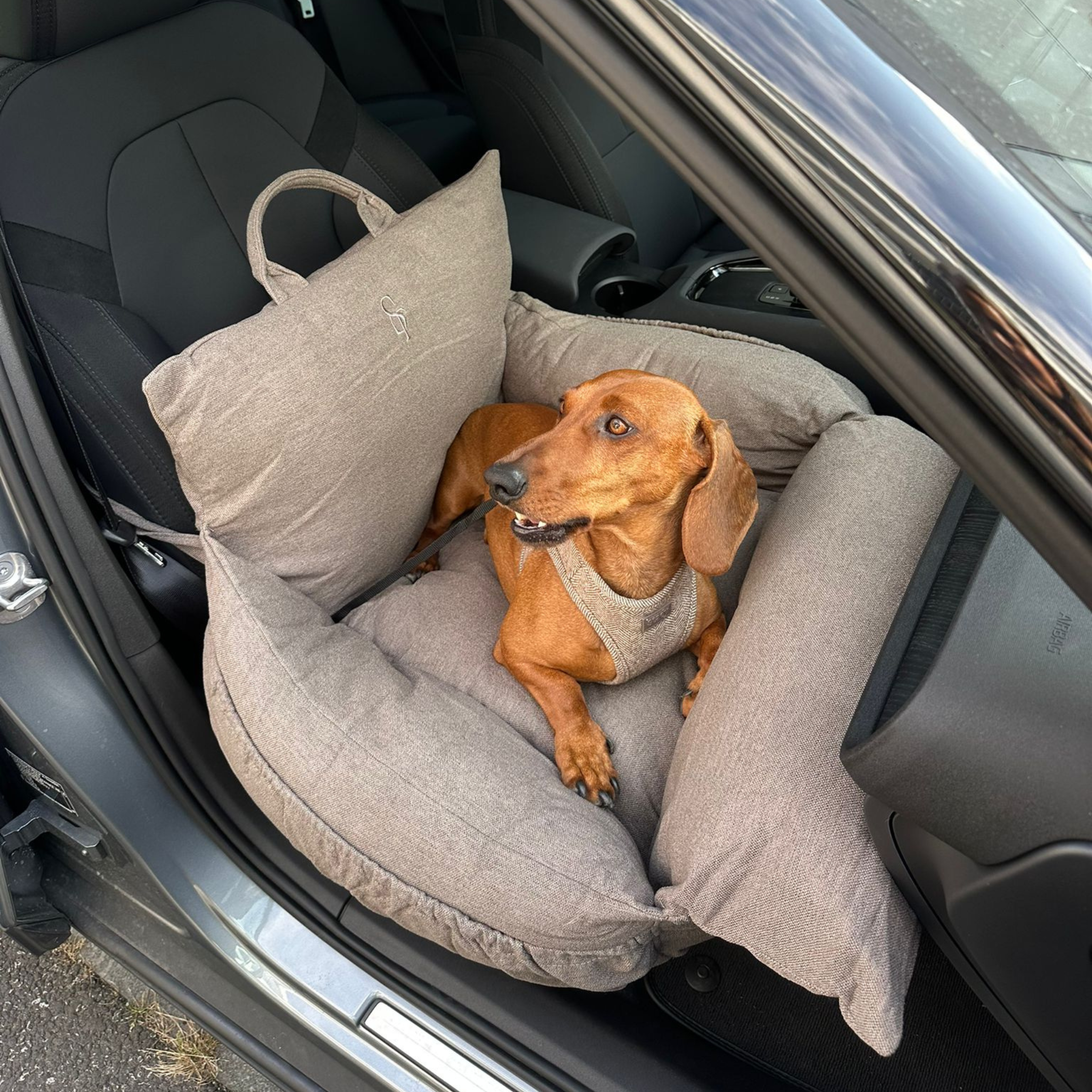 Silla de coche Lara | Taupe 2.0