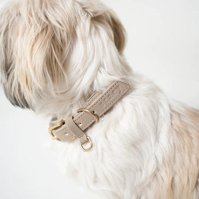 Collars