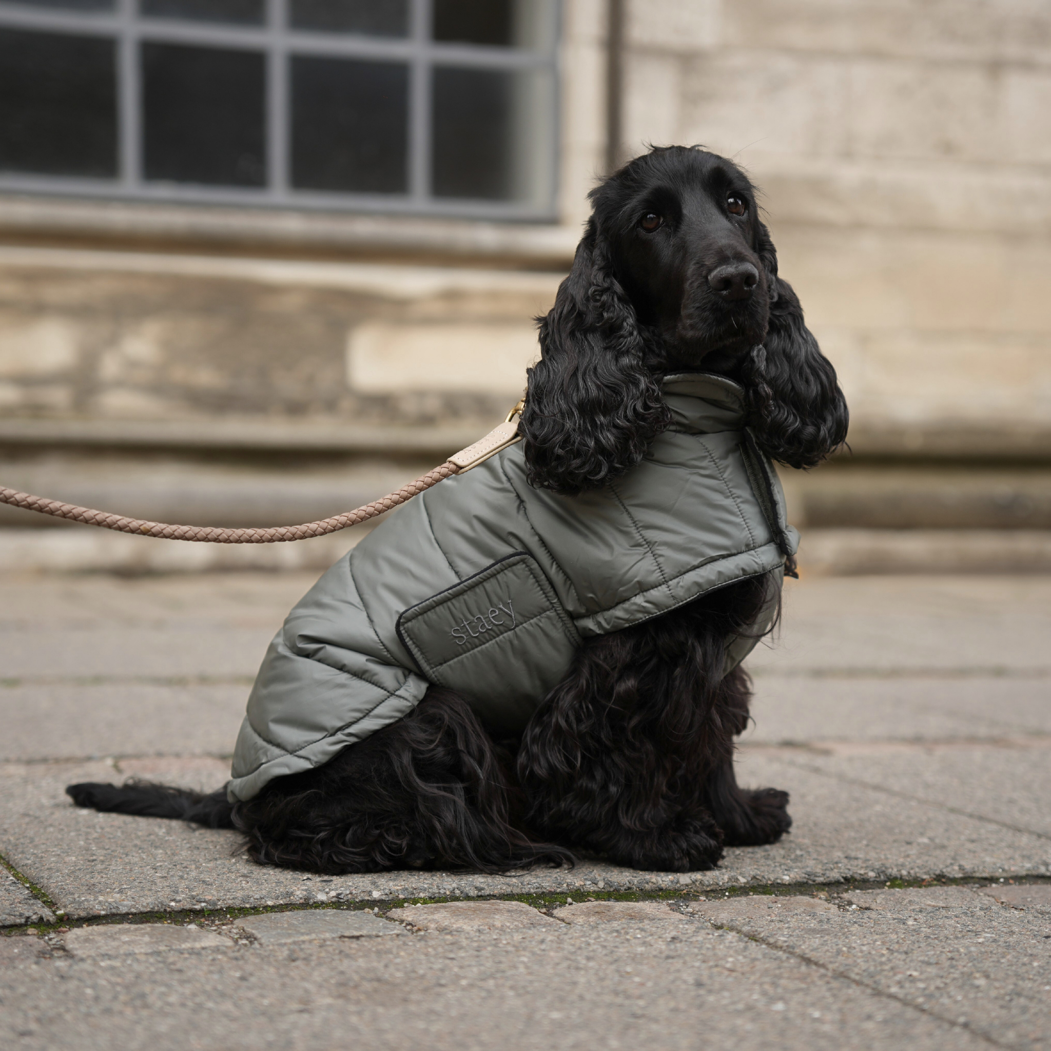 Nora Dog Coat | Moss Green
