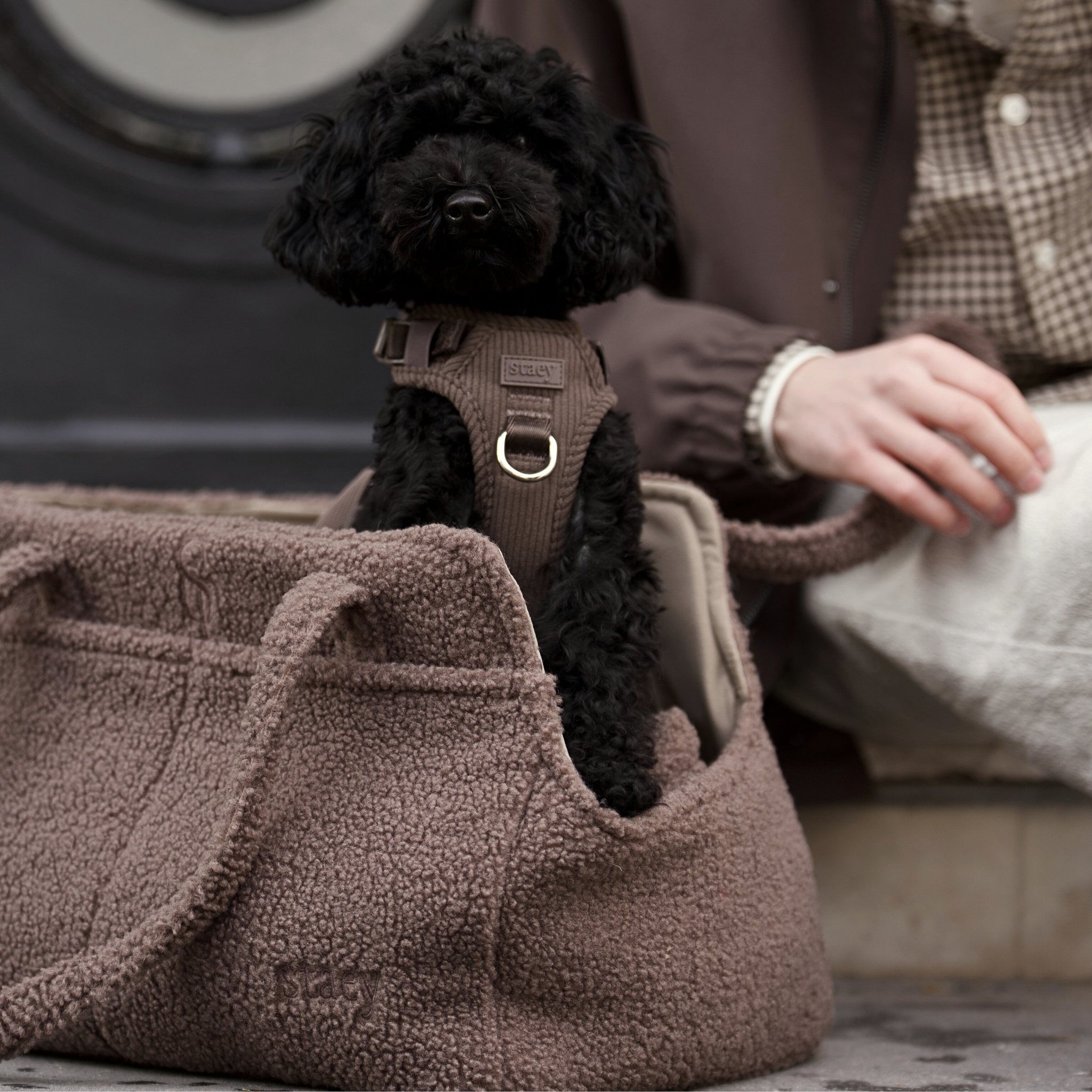 Clara Carrier Bag | Limited Edition