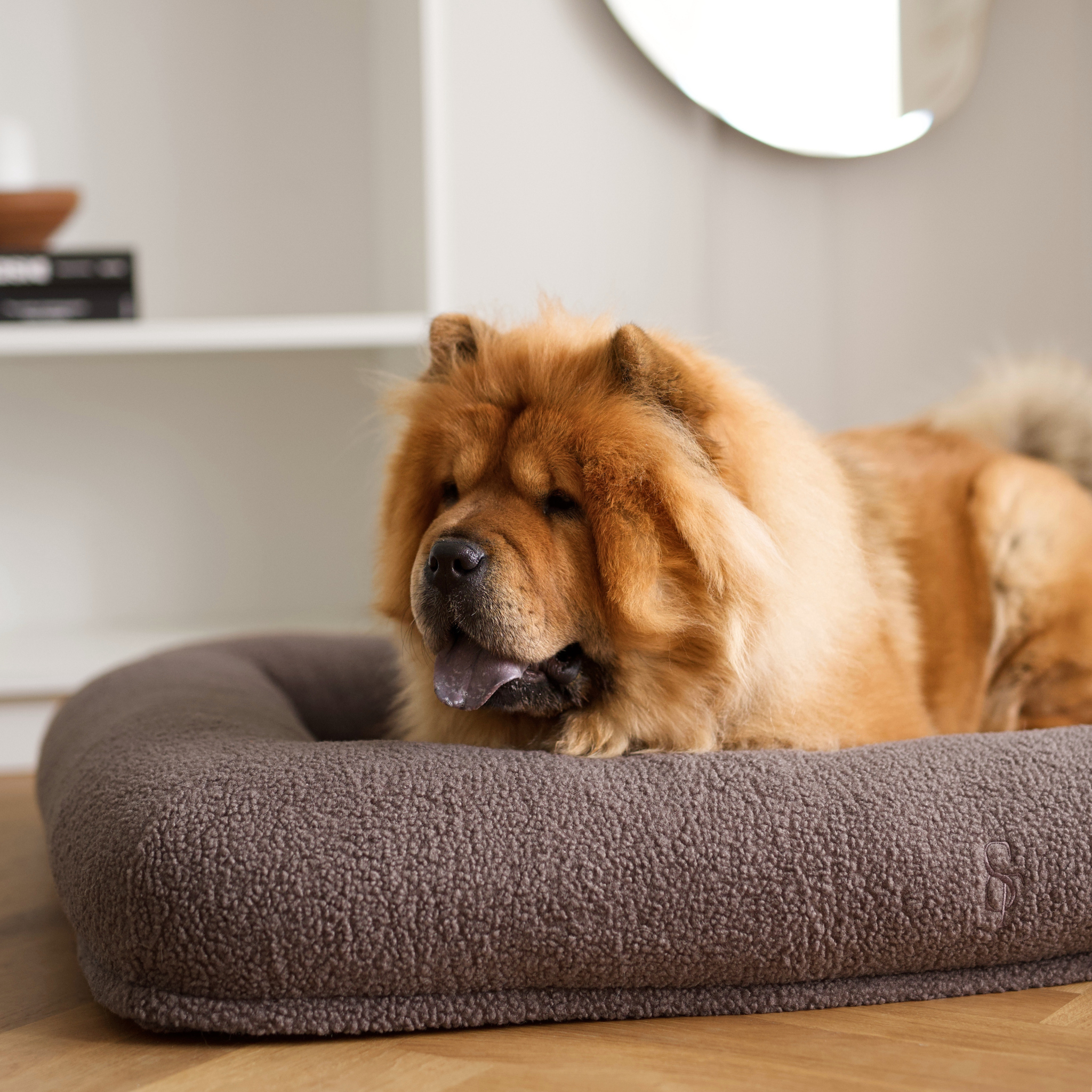 Clara Orthopedic Dog Bed | Limited Edition