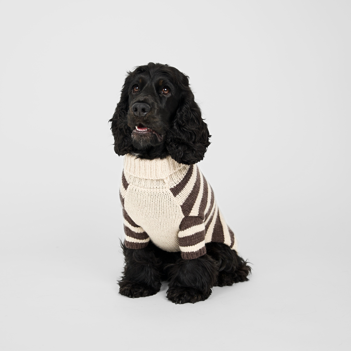 Liva Dog Sweater | Oat/Espresso