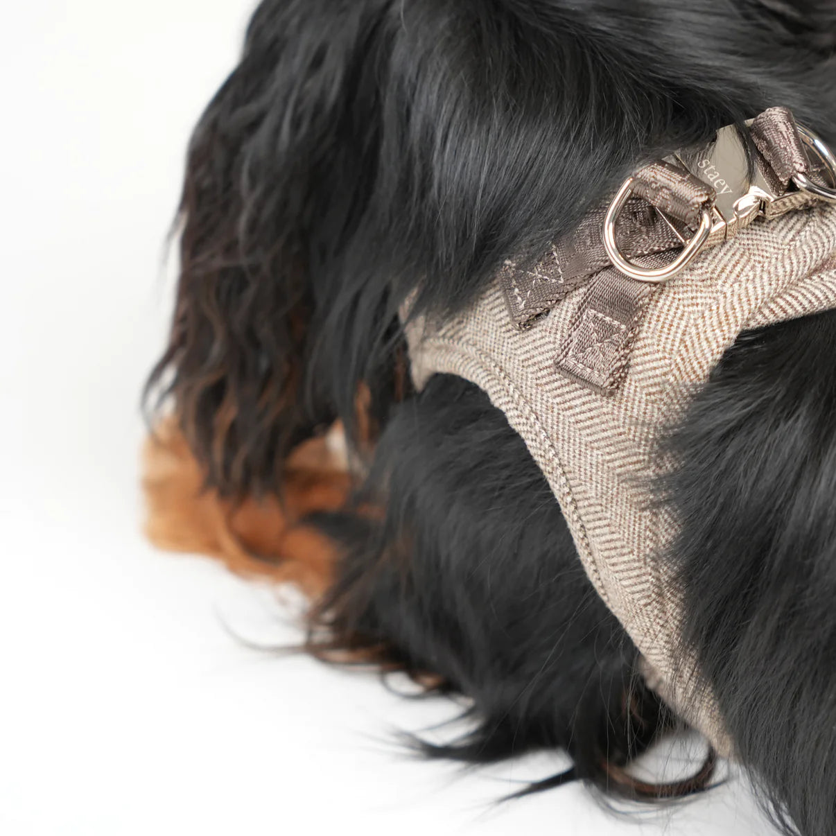 Saga Step-In Dog Harness | Mocca