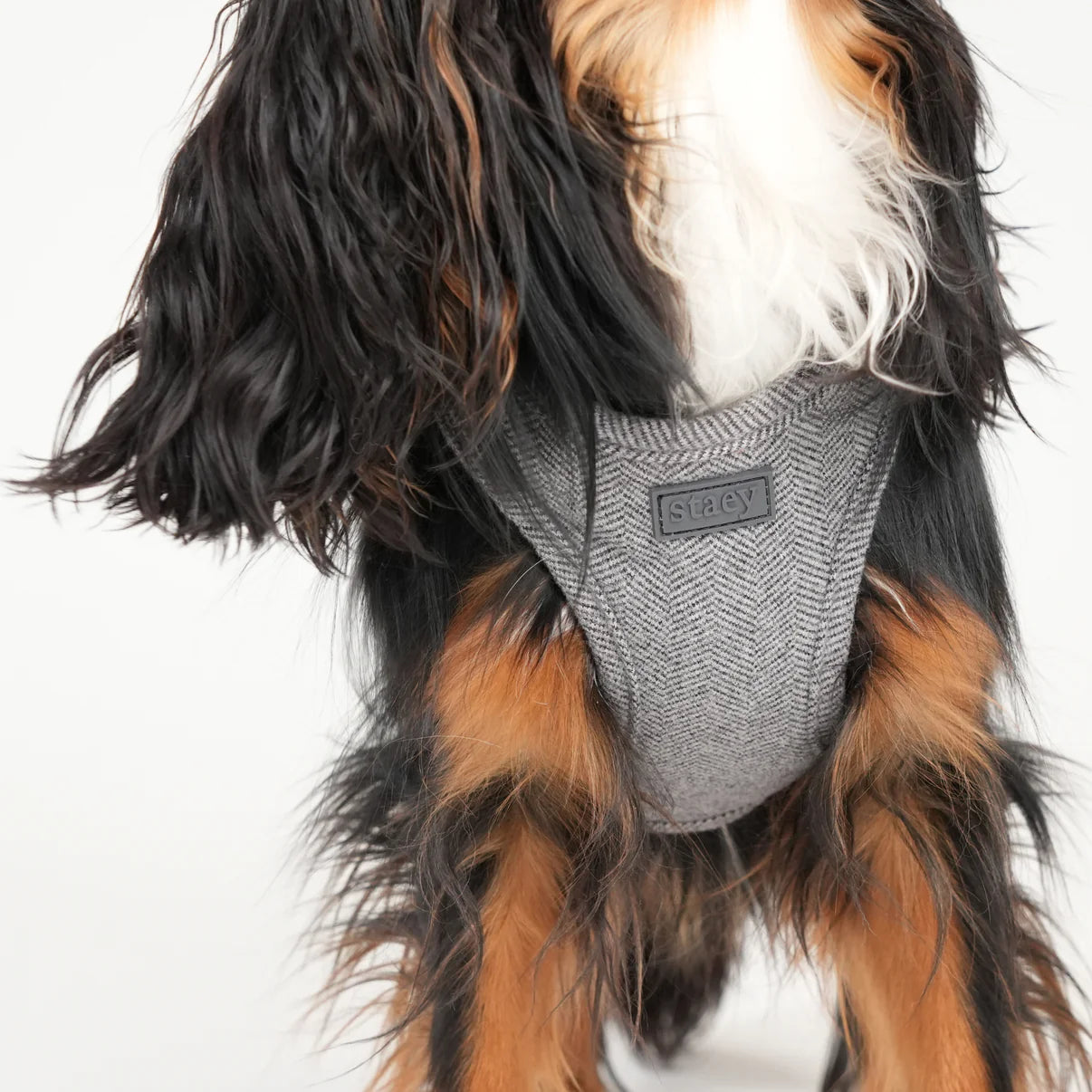 Saga Step-In Dog Harness | Dusty Blue