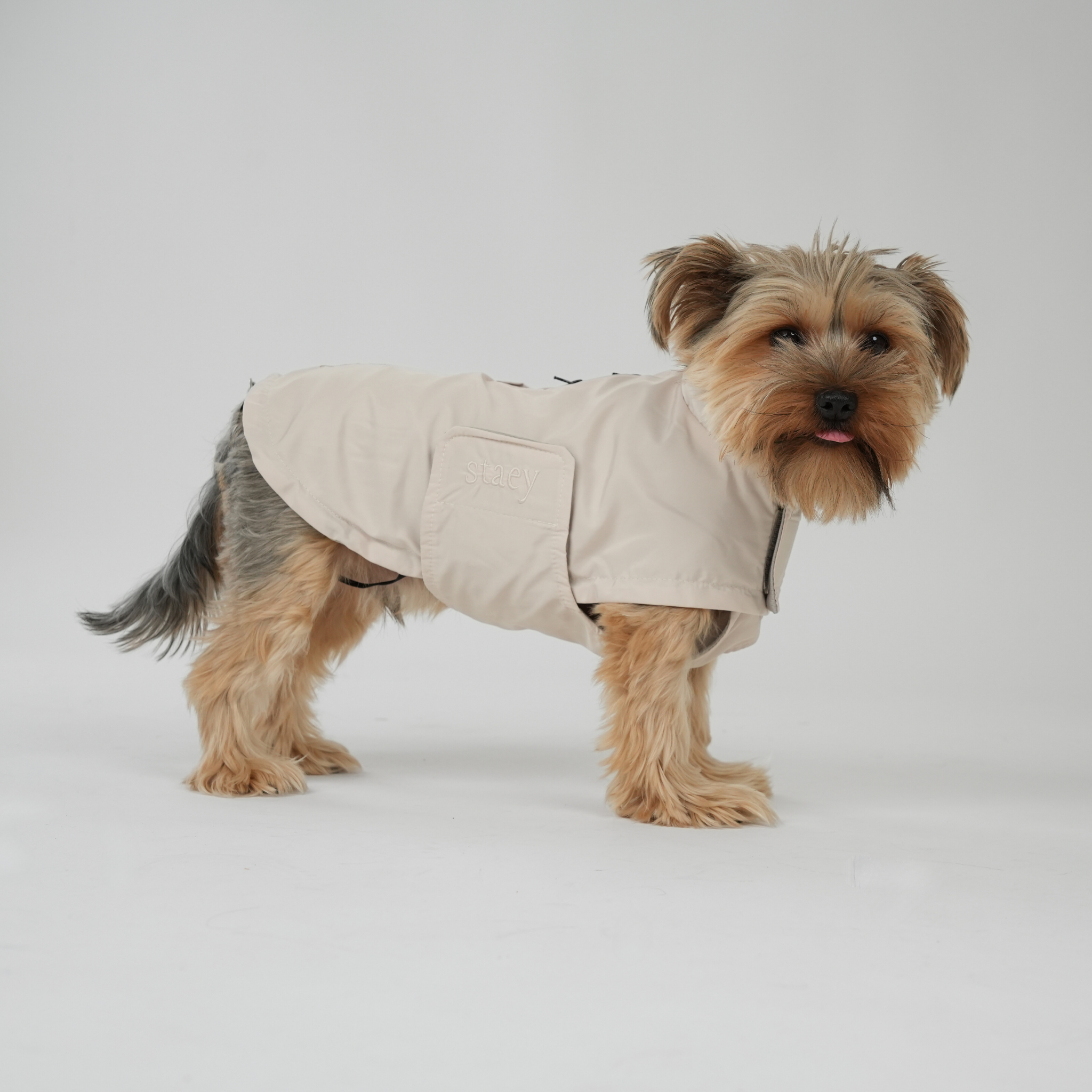 Vega Dog Raincoat | Nature
