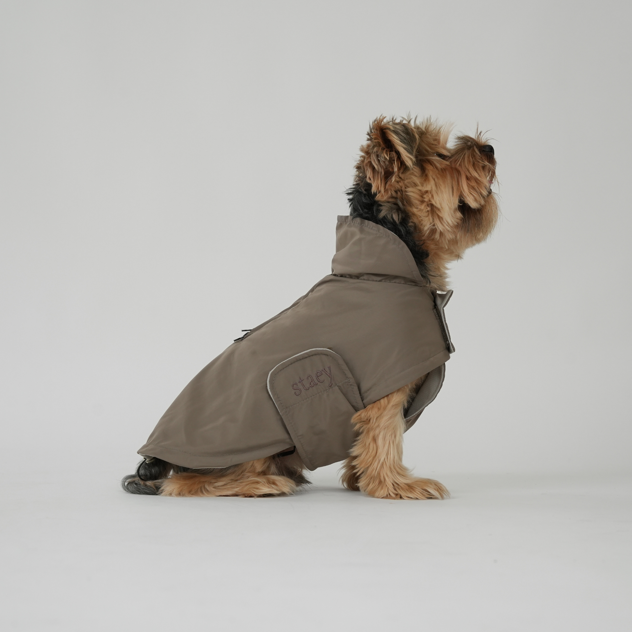 Impermeable para perros Vega | topo