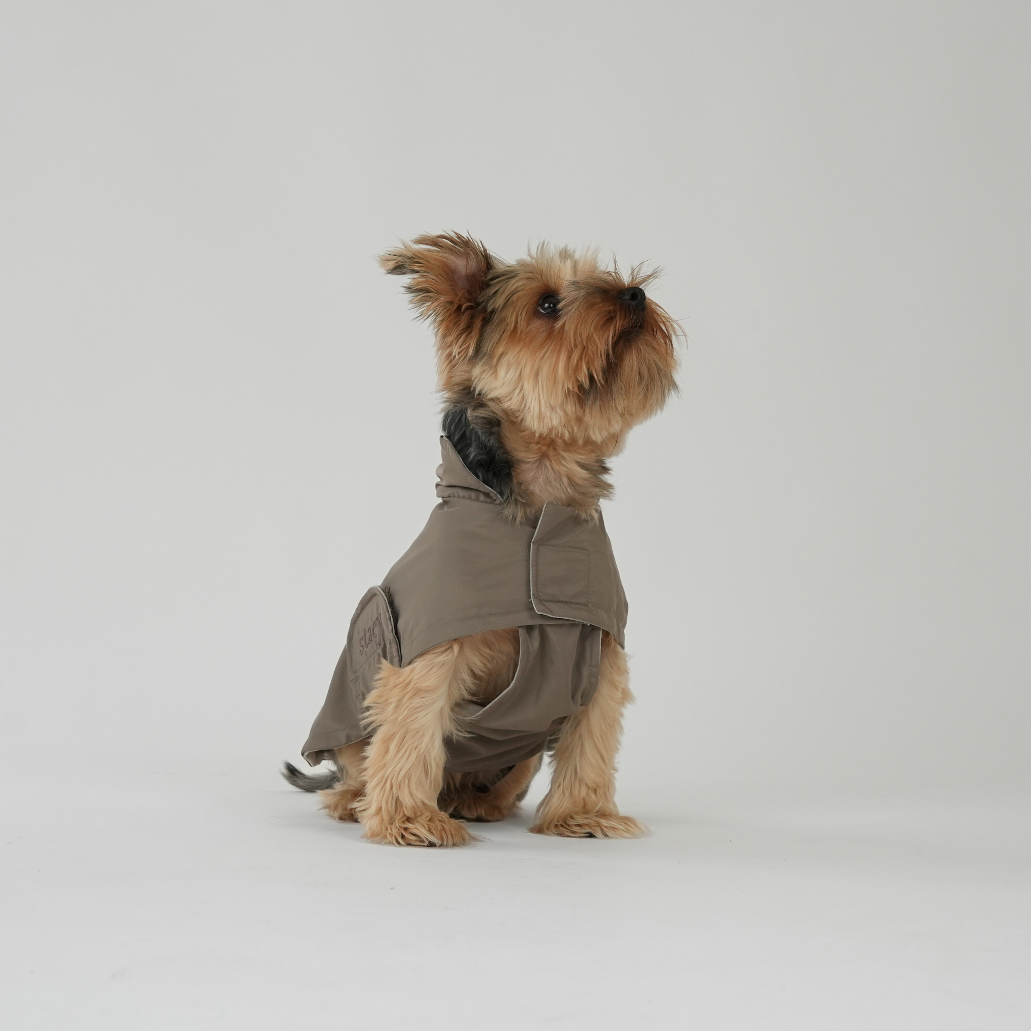 Vega Dog Raincoat | Taupe