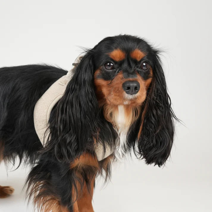 Arnés para perros con paso de peluche | naturaleza