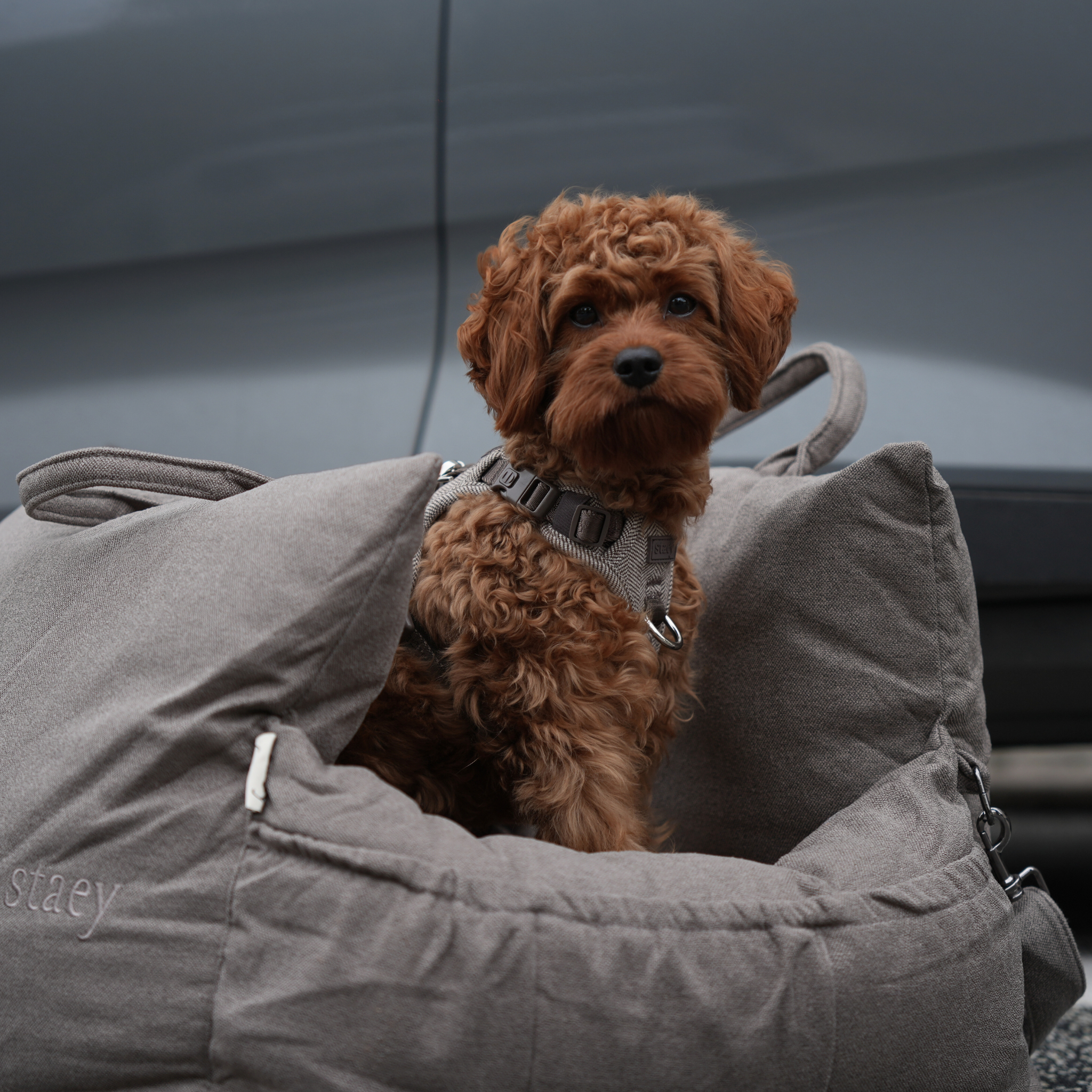 Silla de coche Lara | Taupe 2.0