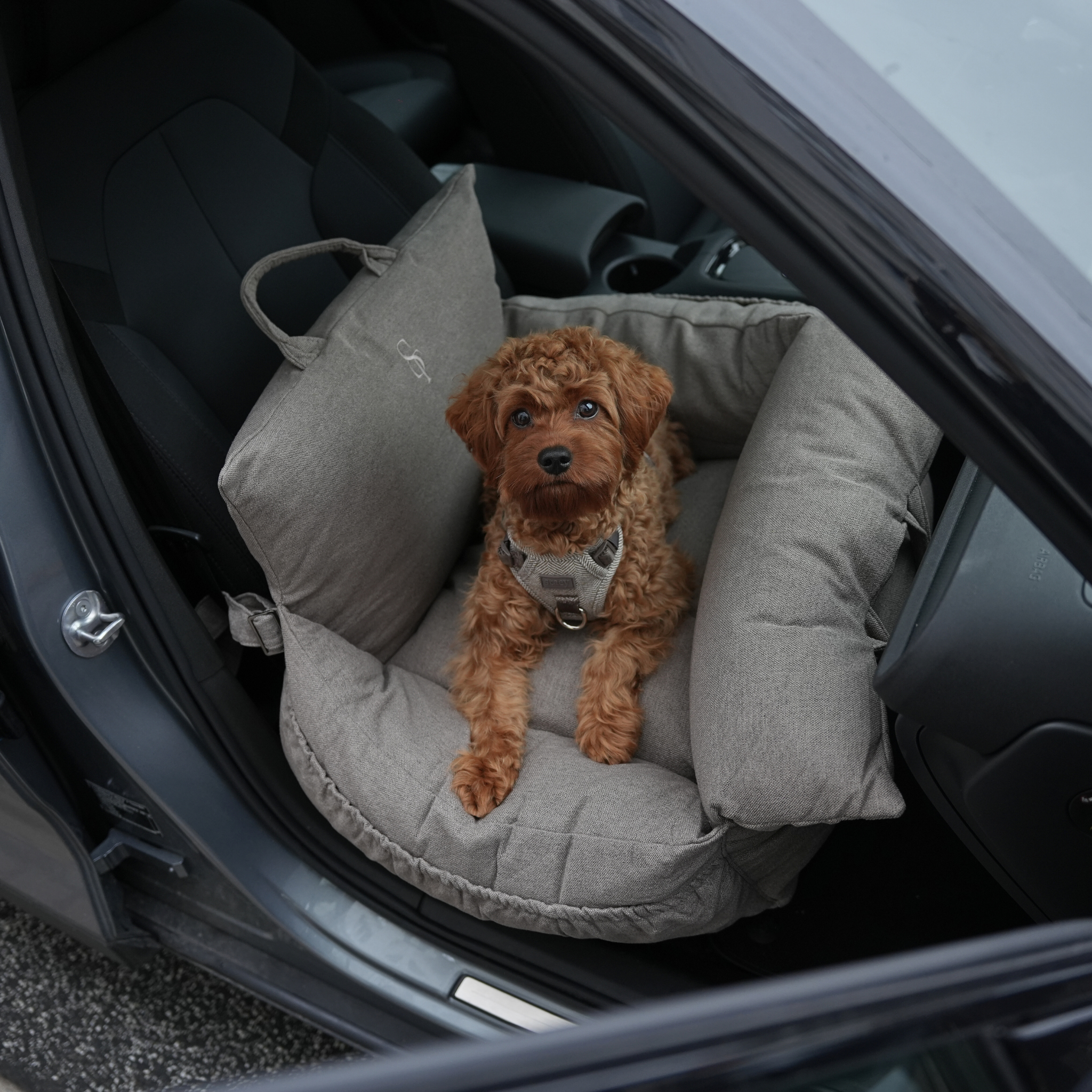 Silla de coche Lara | Taupe 2.0