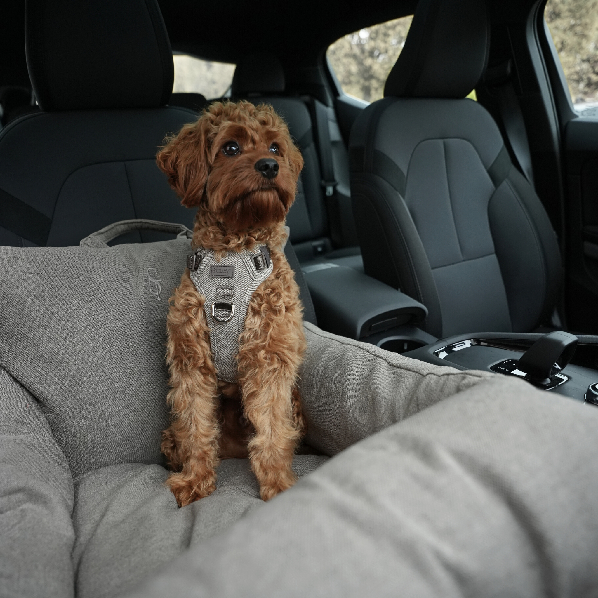 Silla de coche Lara | Taupe 2.0