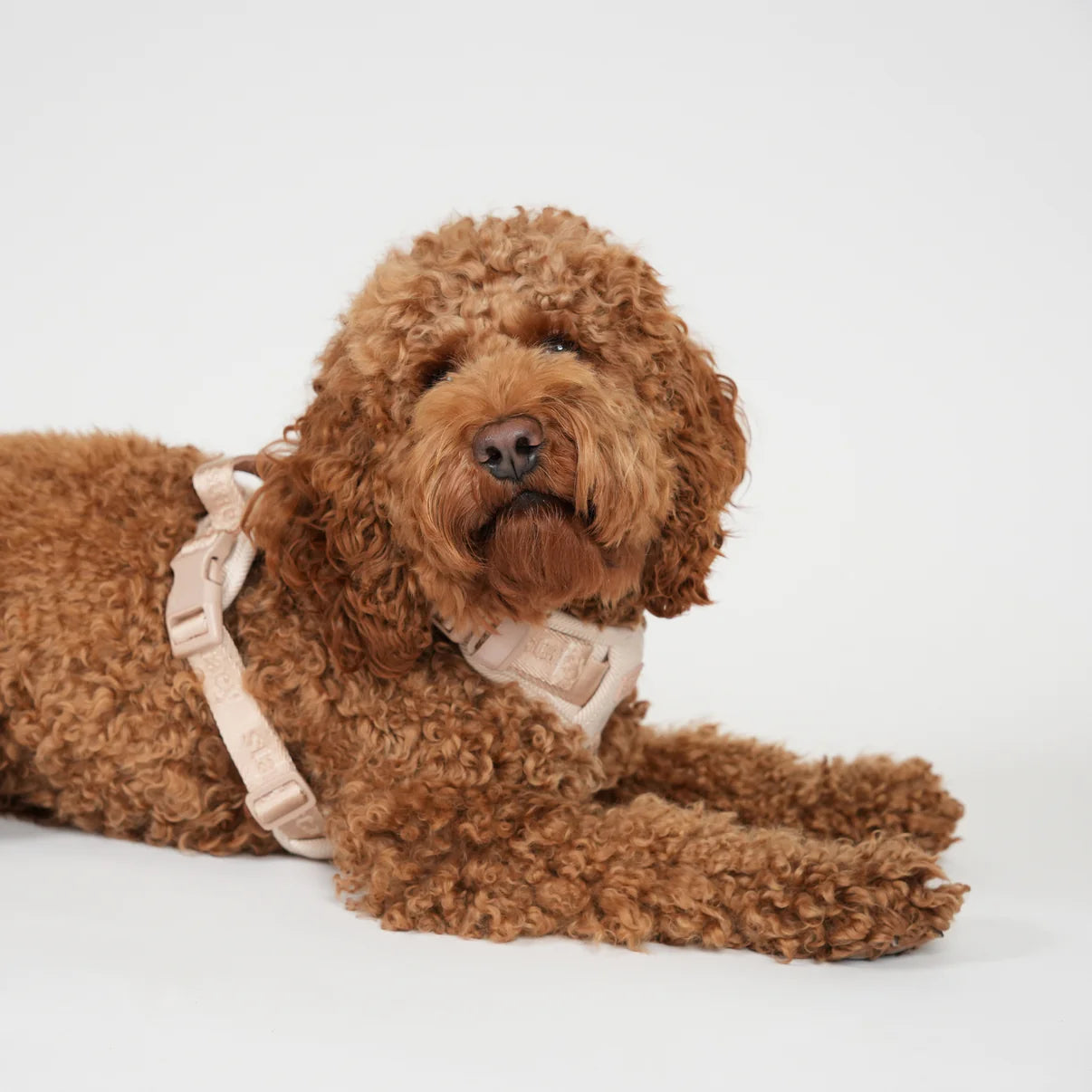 Arnés para perros Elma | Rosa clara