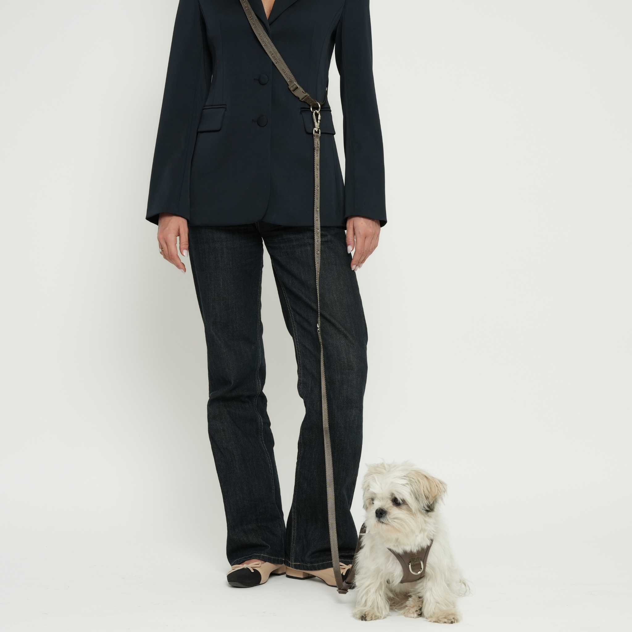 Correa para perro manos libres - Gris pardo