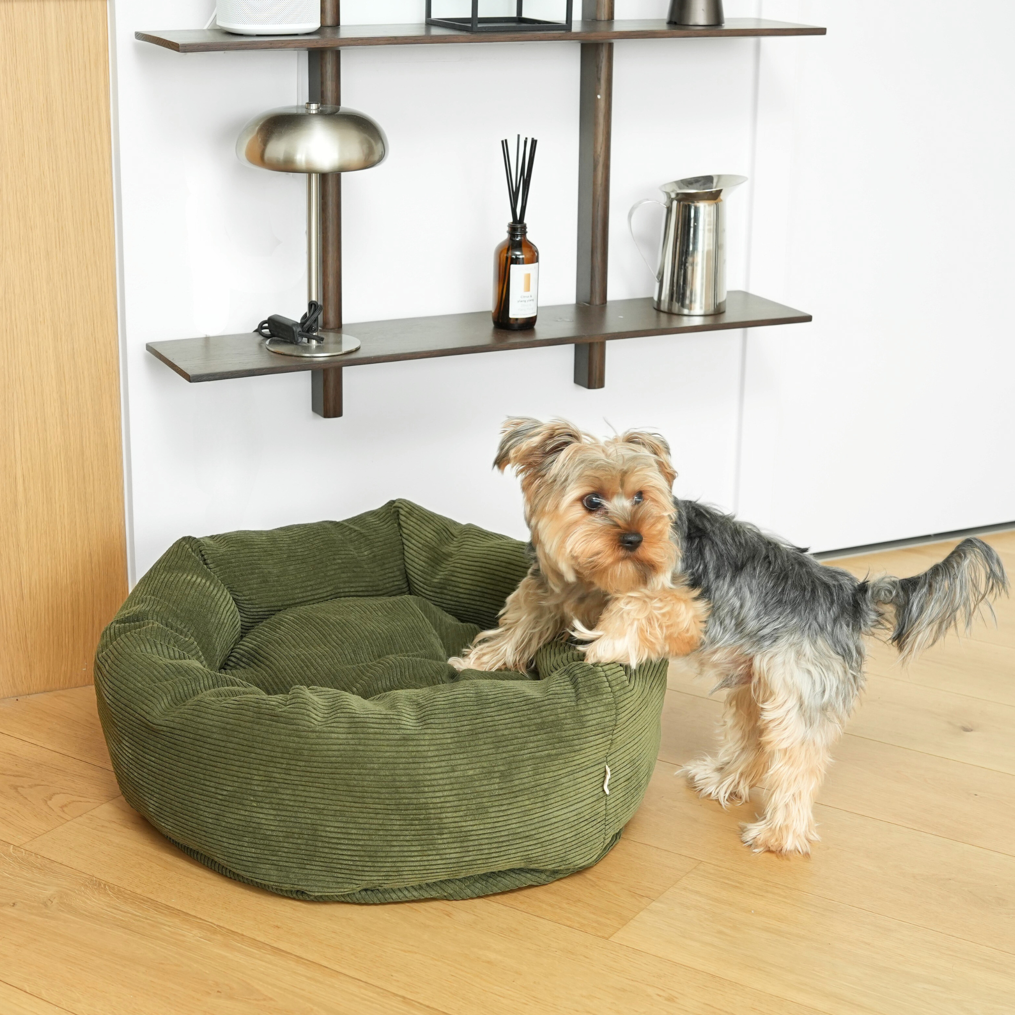 Cama para perros Luna 3.0 | Pana Verde Musgo