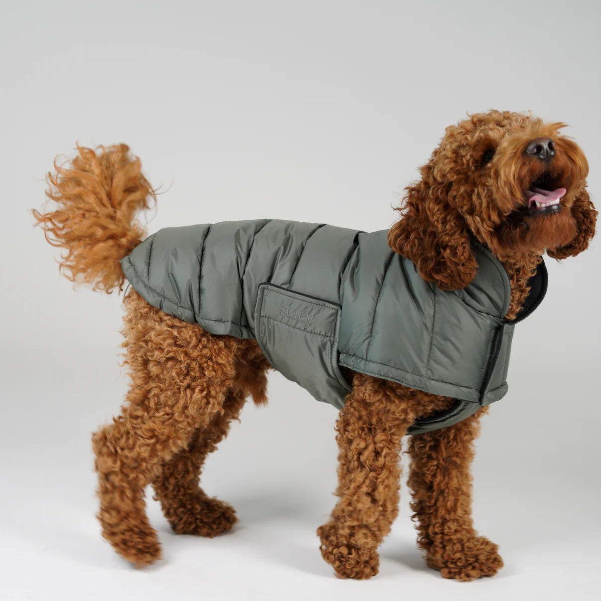 Nora Dog Coat | Moss Green