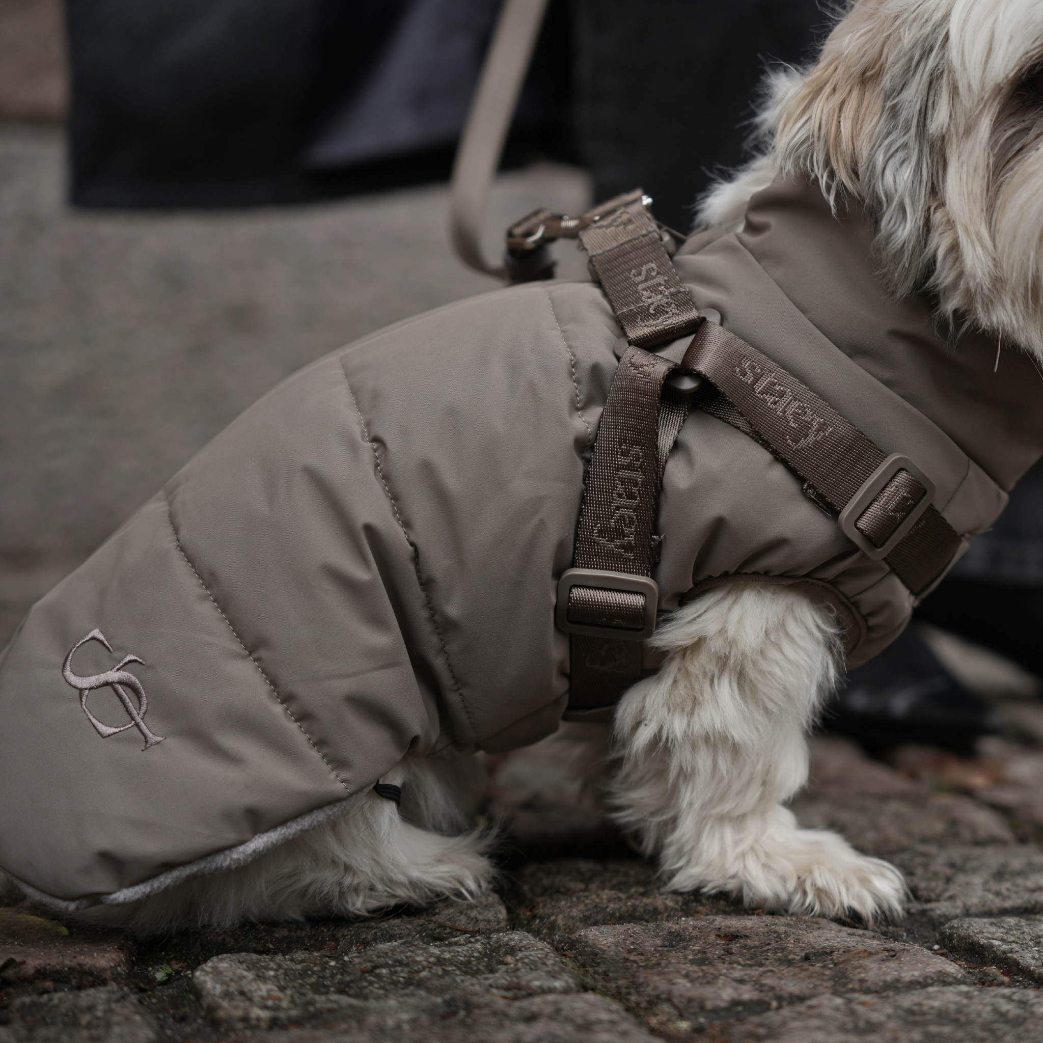 Vera Dog Coat w. Harness | Sage
