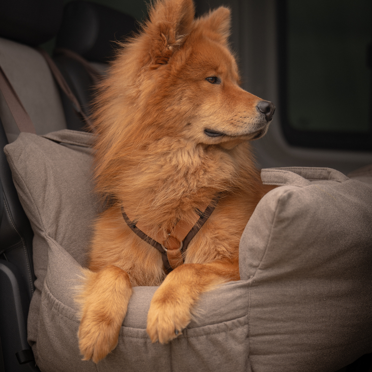 Lara Car Seat XXL | Taupe