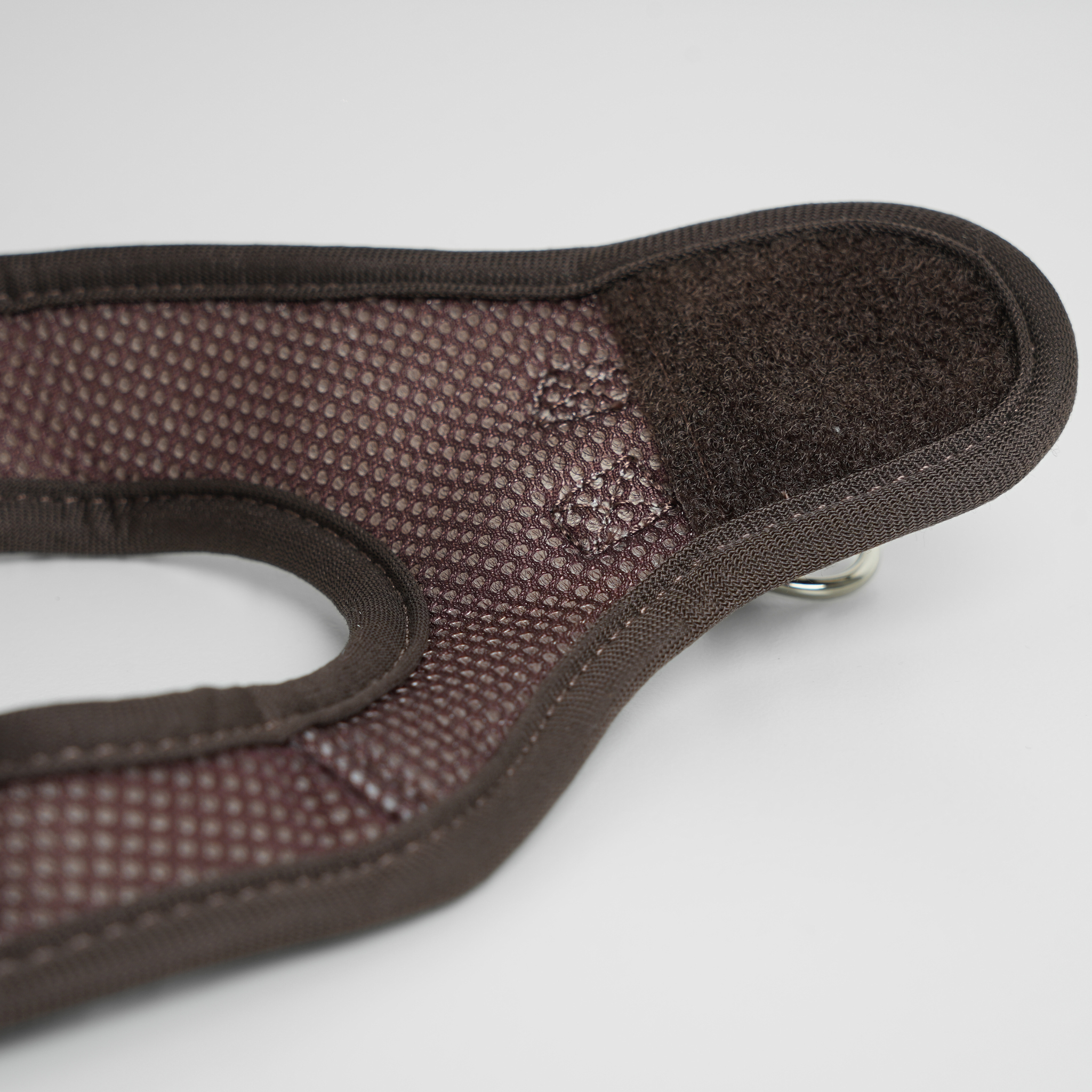 Teddy con arnés para perros | expreso