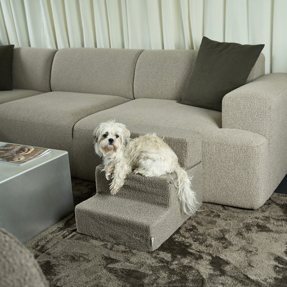 Dog Stair | Teddy